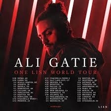 Ali gatie