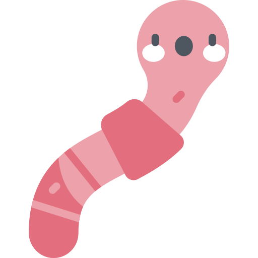 Worm