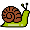 Snail