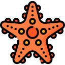 Starfish