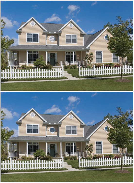 Spot the difference.png