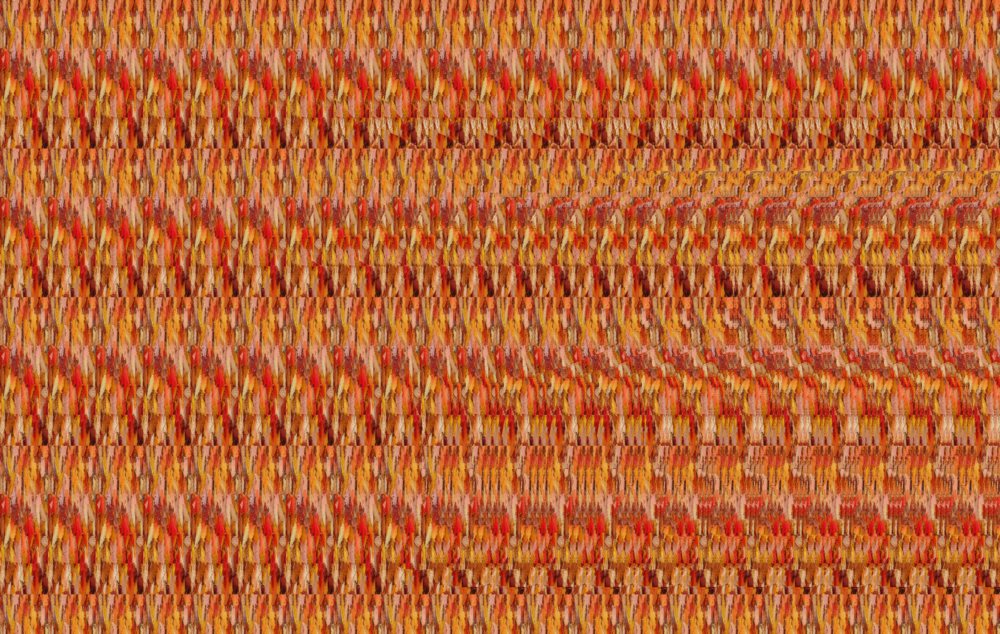 stereogram (1).jpg