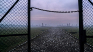 Auschwitz: Countdown to Liberation (2025)