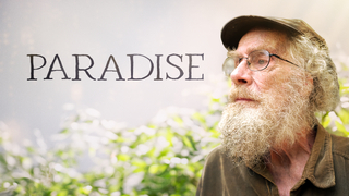Paradise (2025)