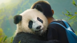 Moon The Panda (2025)