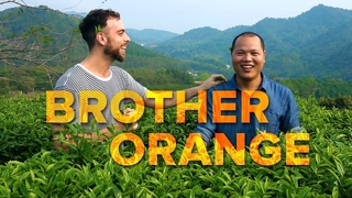 Brother Orange (2025)