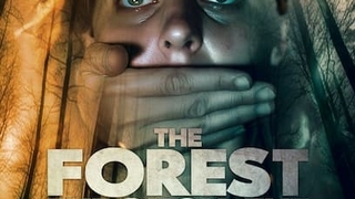 The Forest Through the Trees (2025)